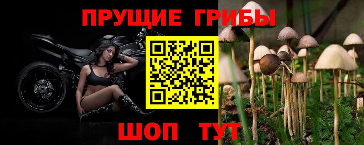 Псилоцибиновые грибы ЛСД  Вход с VPN  Псилоцибиновые грибы Psilocybine cubensis  купить закладку  Тейково 